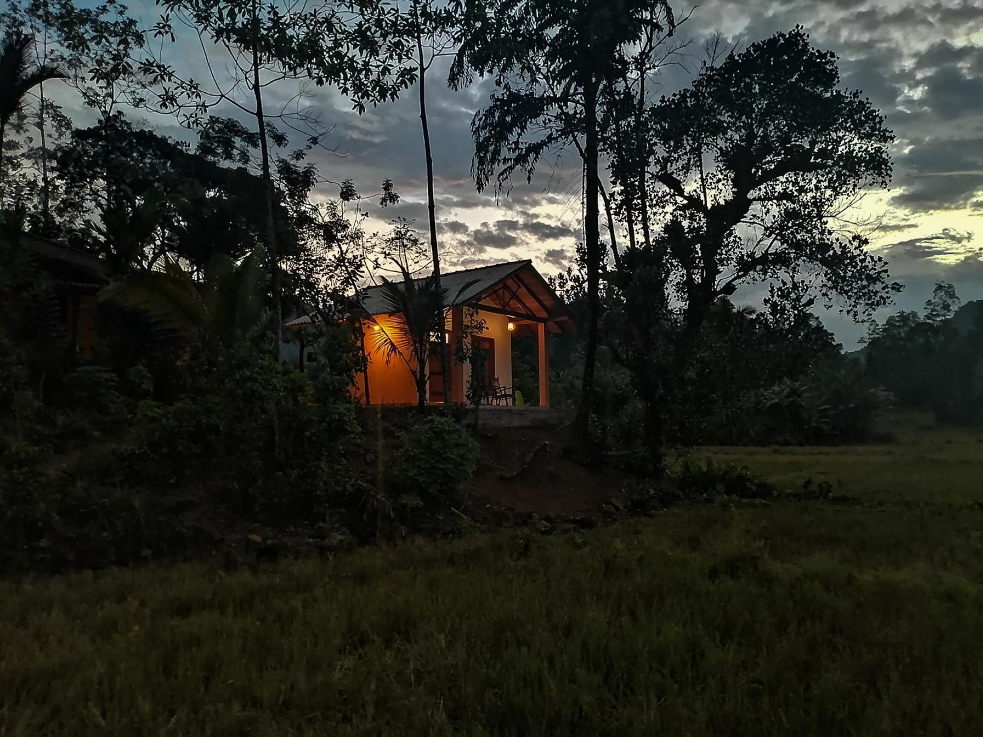 Forest & Fields Sinharaja & Restaurant Deniyaya Exterior foto